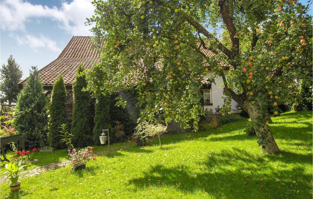 Stunning Home In Lidzbark Warminski With 4 Bedrooms And Sauna photo 2