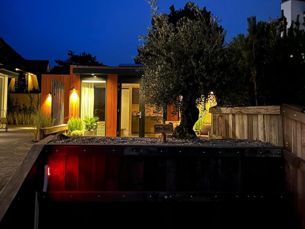 Olive Beach, luxury beachhouse 150 m from the beach photo 4