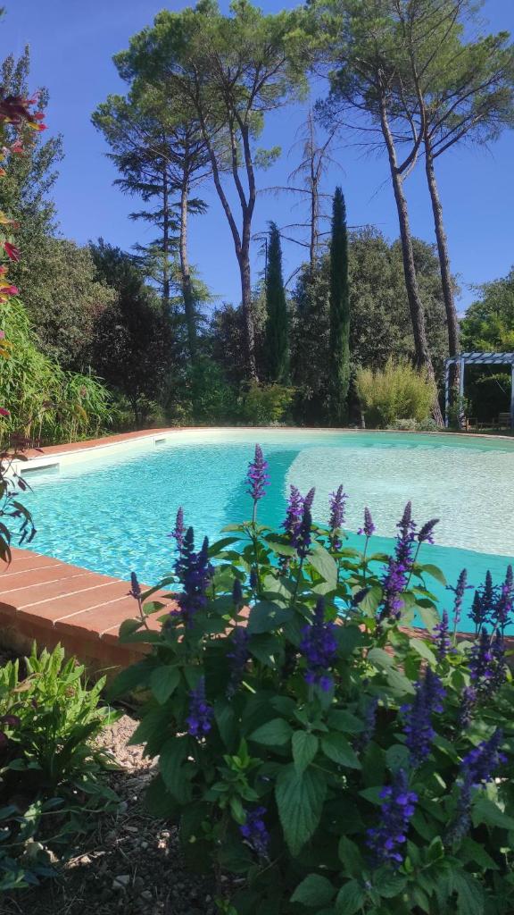 Villa La Ginestra - Charming Country Home photo 3