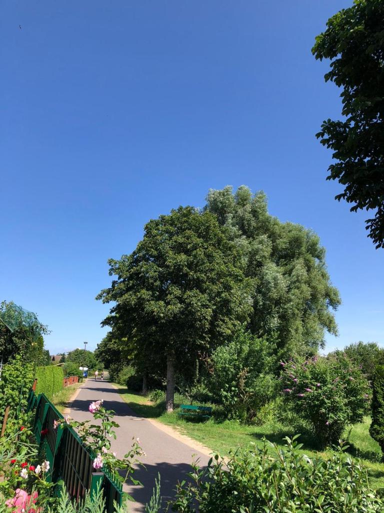 Ferienhaus Rupnow Plau am See photo 4