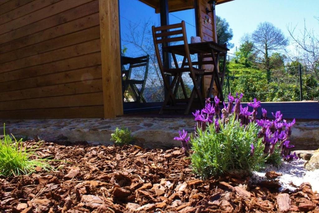 Lagoon Tiny House photo 2