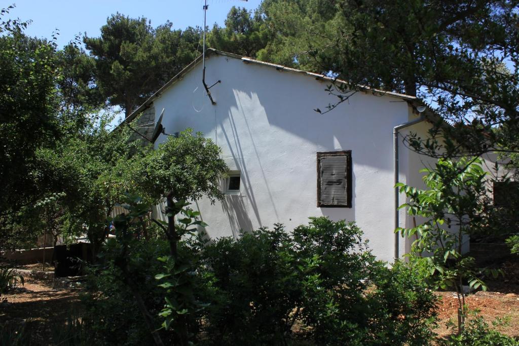 Seaside holiday house Artatore, Losinj - 7937 photo 1