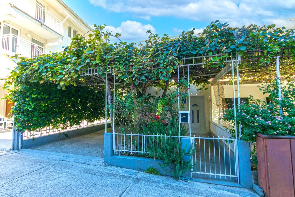 Apartments by the sea Podaca, Makarska - 13069 photo 1