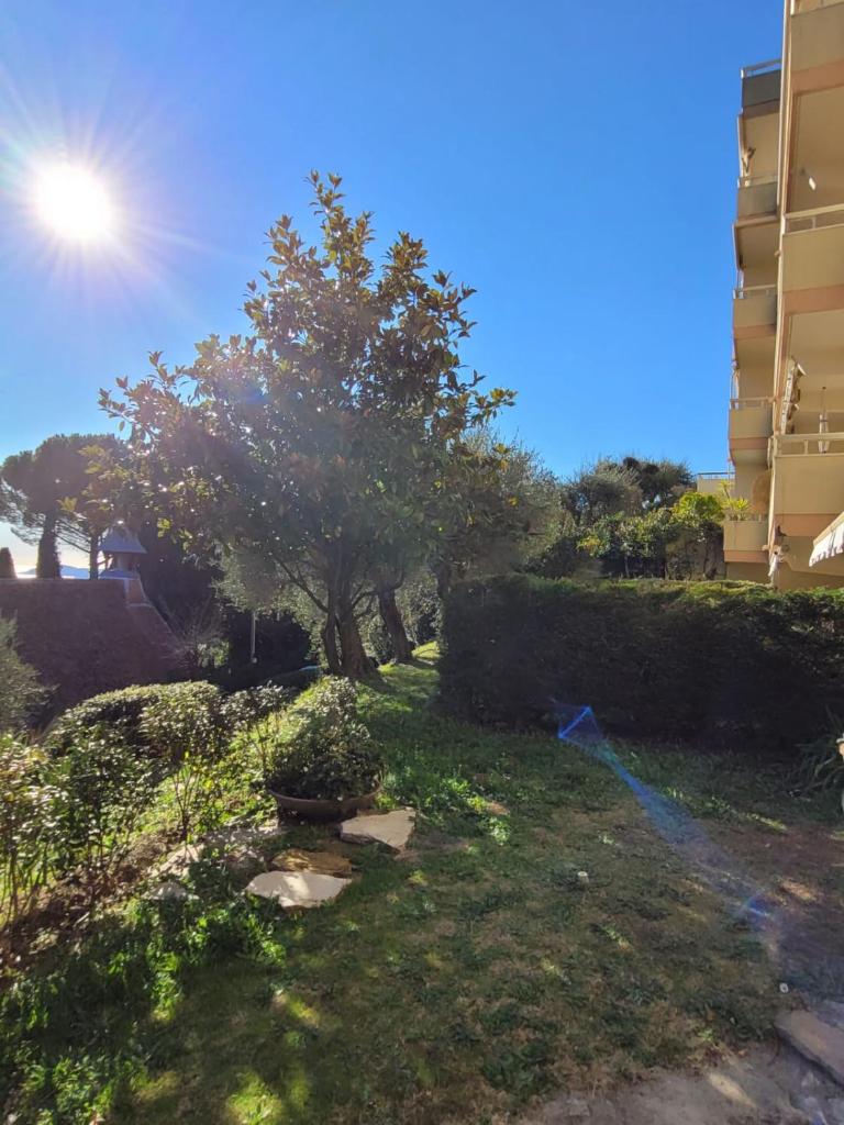 Les jasmins photo 3