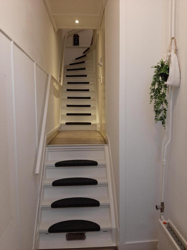 Logement het Herenwaltje photo 3