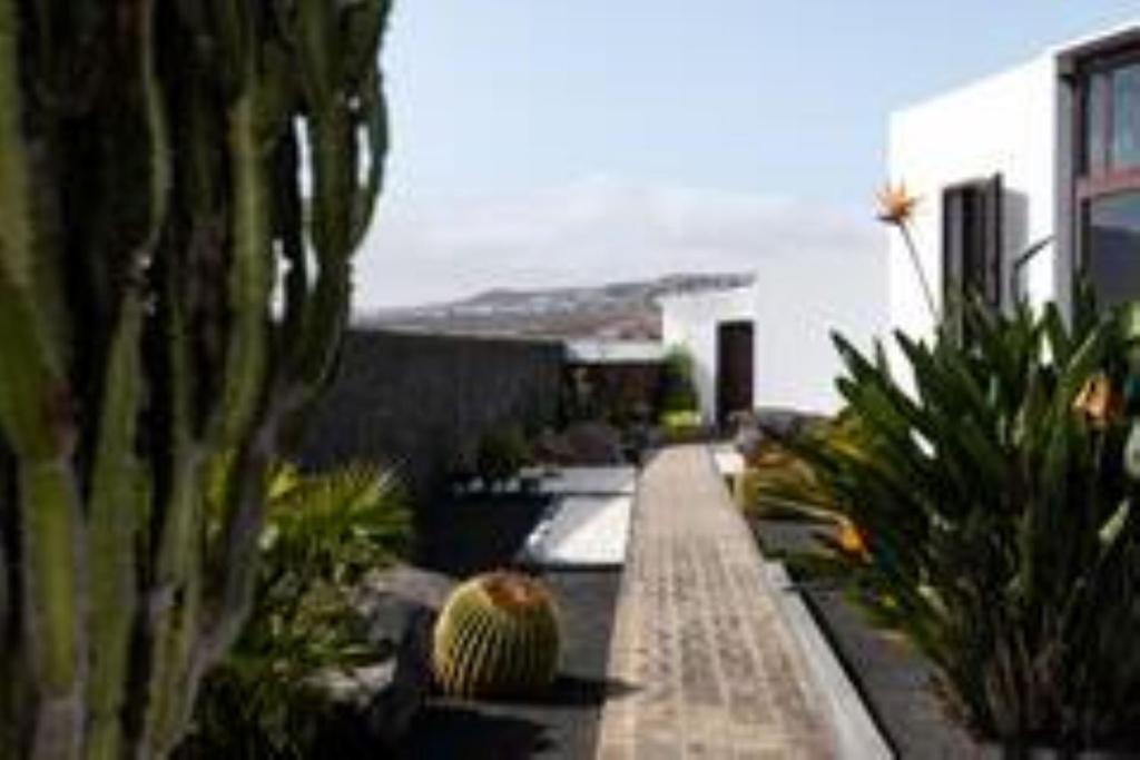 Timanfaya Villa photo 3