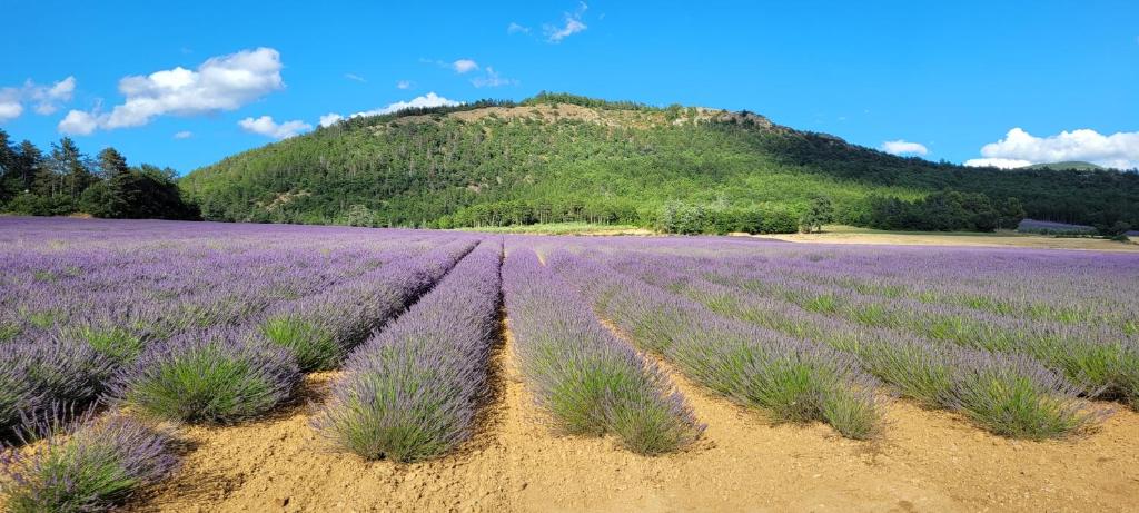 Le Jas de Volonne photo 1