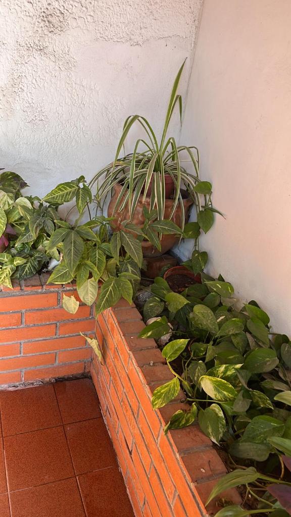 Casa Bonita Barrio Sur photo 2