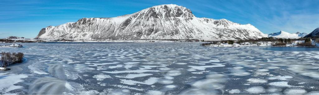 Wildlife Panorama Lofoten photo 3