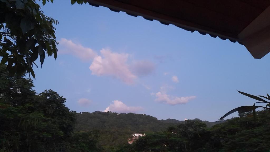 Neita's Nest photo 4