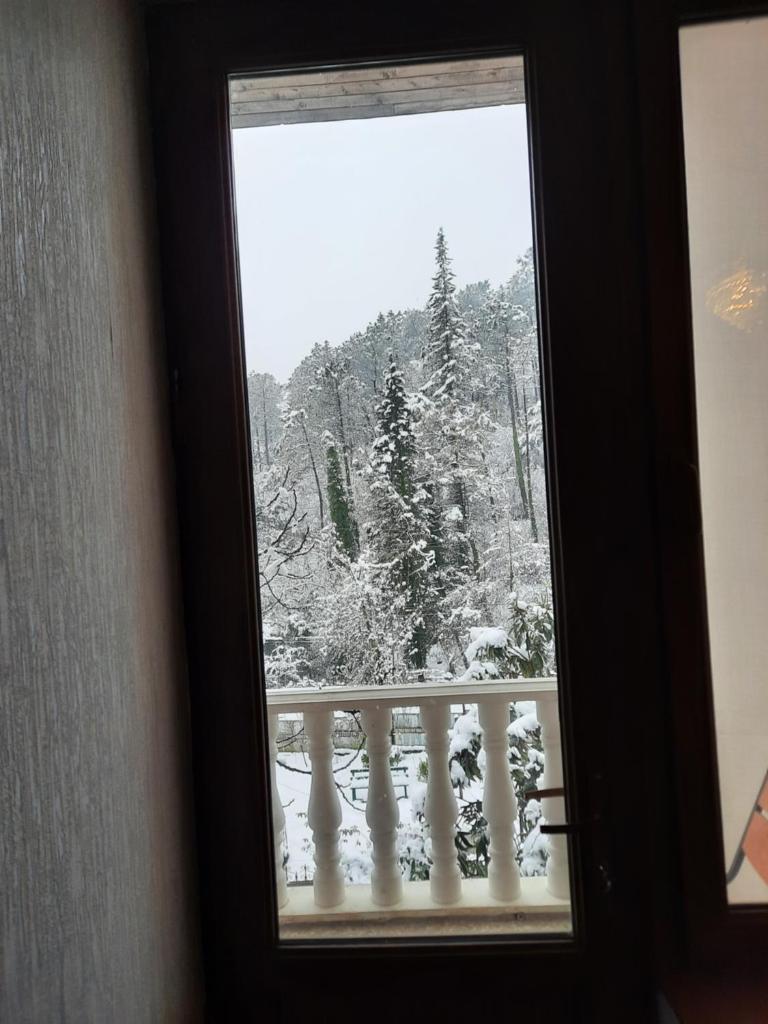 Hotel Good Luck photo 2