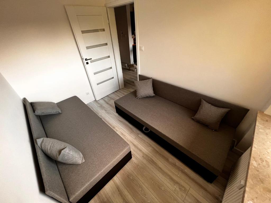 Przyjemny apartament nad zalewem photo 4