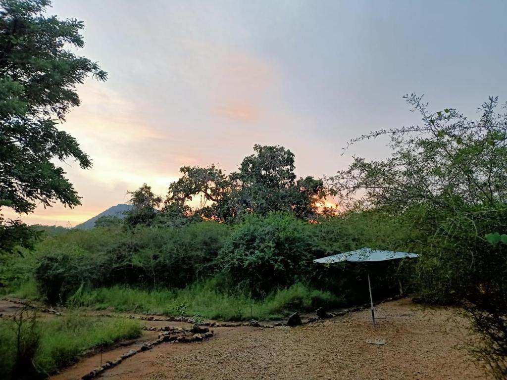 Kele Yala photo 4