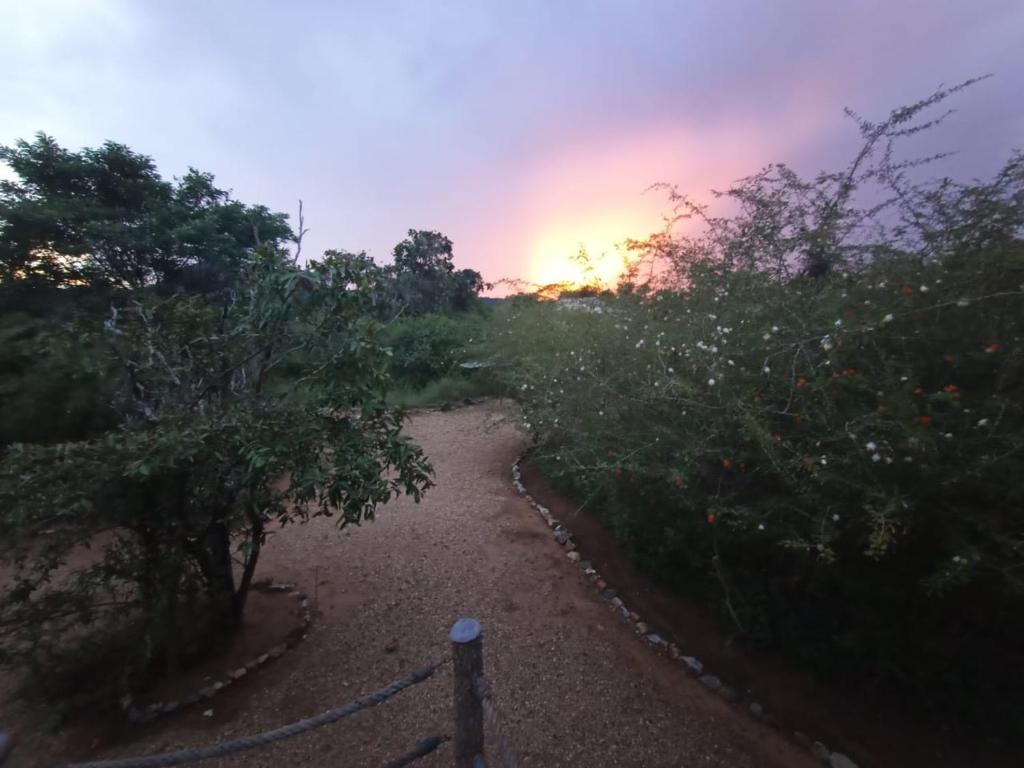 Kele Yala photo 3