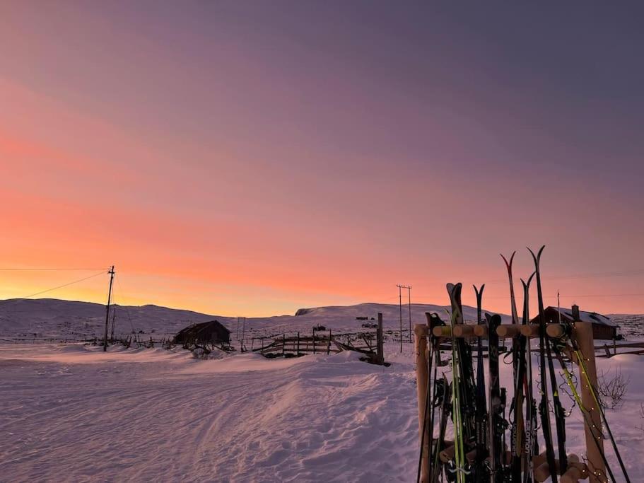 Seterhytte i Havsdalen photo 2