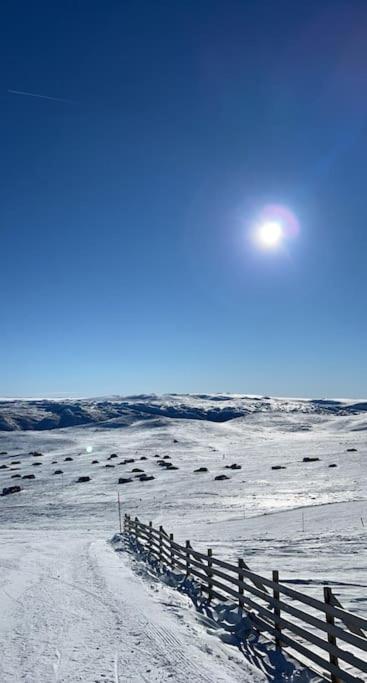 Seterhytte i Havsdalen photo 1