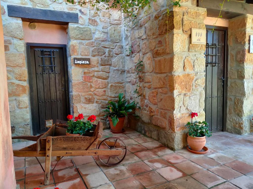 Masia los Toranes - Destino Starlight photo 3