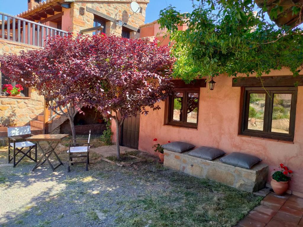 Masia los Toranes - Destino Starlight photo 4
