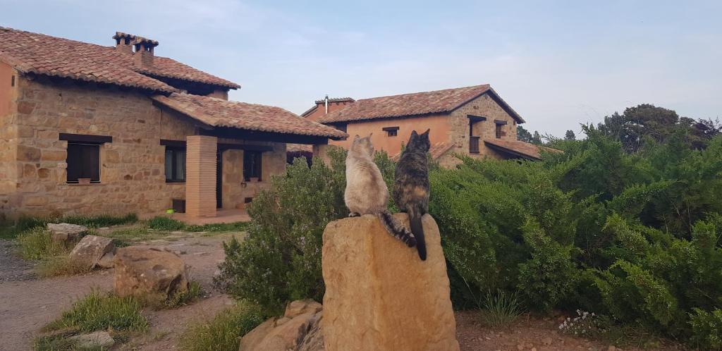 Masia los Toranes - Destino Starlight photo 2