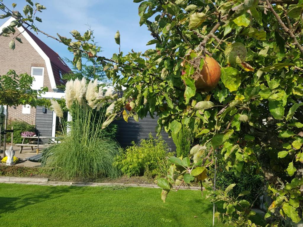 B&B WELKOM Zierikzee photo 3