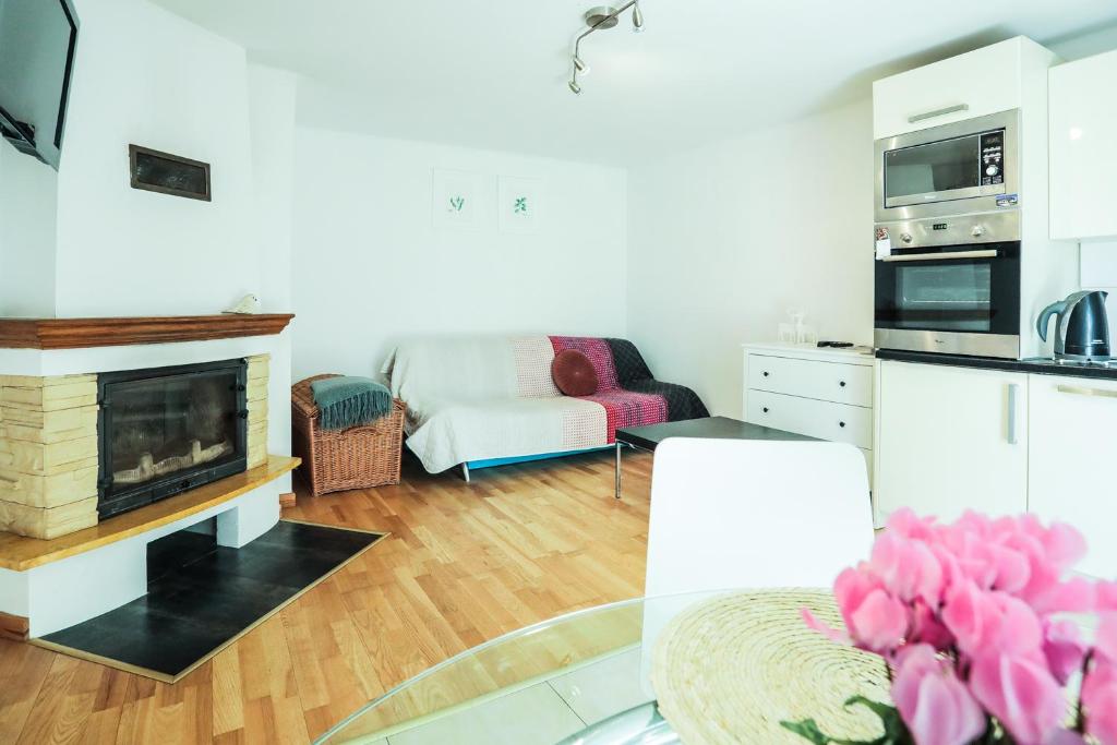 Zielono Mi Apartament z kominkiem & Pokoje z pięknym widokiem photo 4