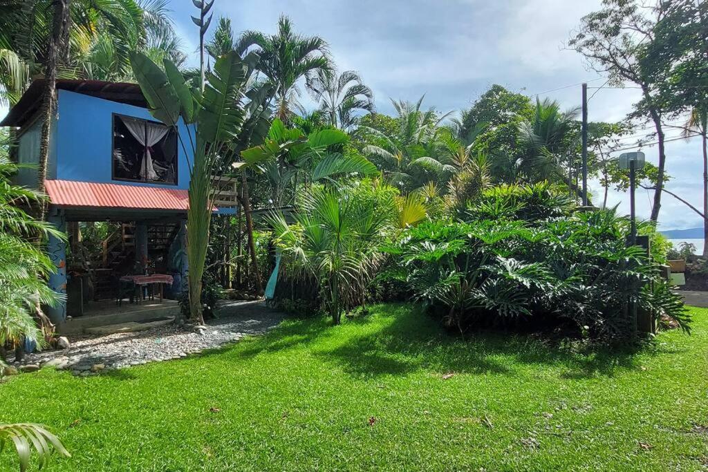 Casa LalitoHouse cabaña rustica frente al mar. photo 4