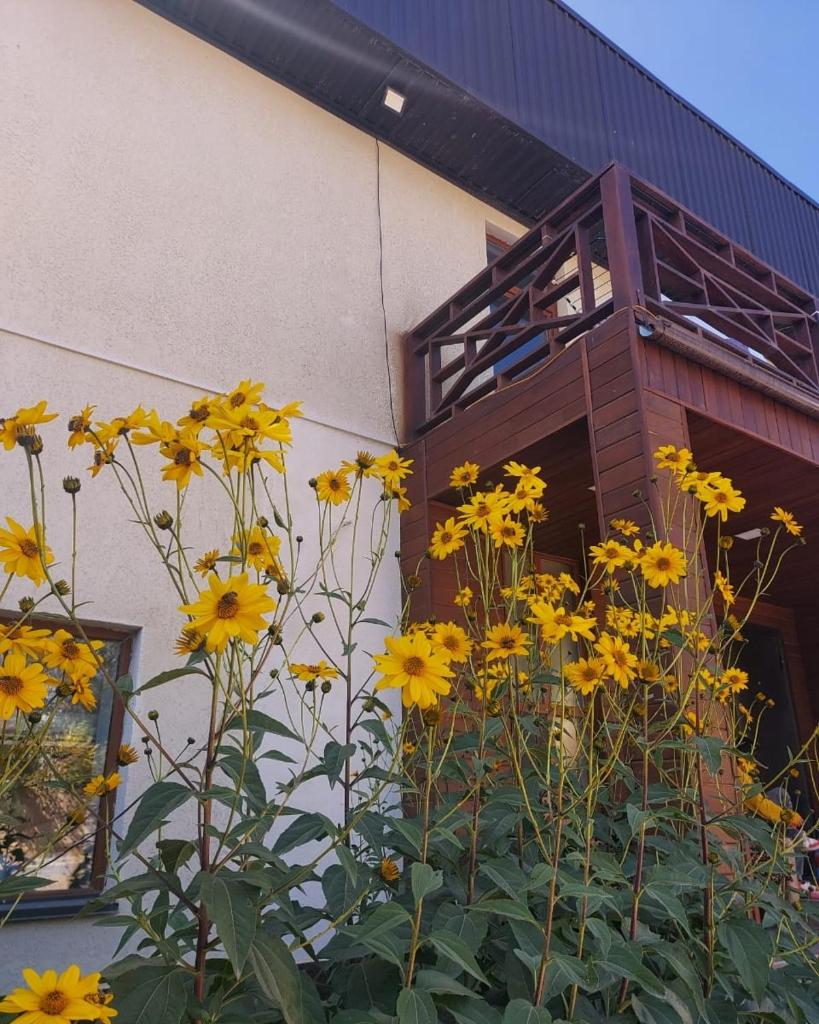 Guest House Tenir Too photo 2