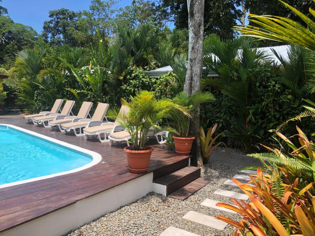 Alloro Jungle Villas photo 3