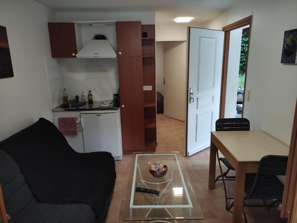 Deux pièces avec grande terrasse au calme photo 1