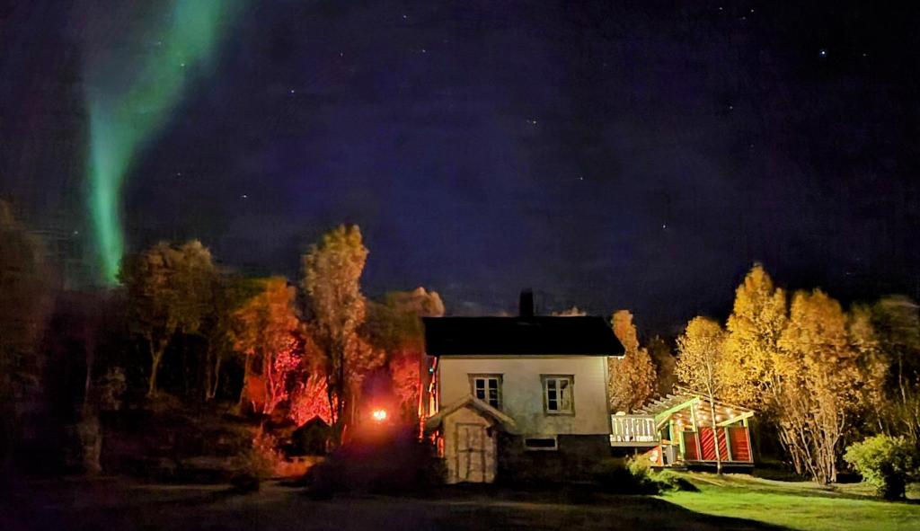 Cabin magic on Senja, atmosphere like a fairytale photo 2