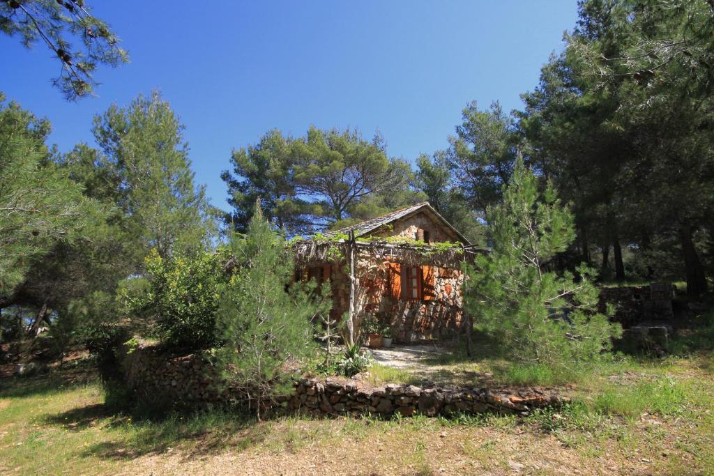 Seaside holiday house Cove Grebisce, Hvar - 3375 photo 1