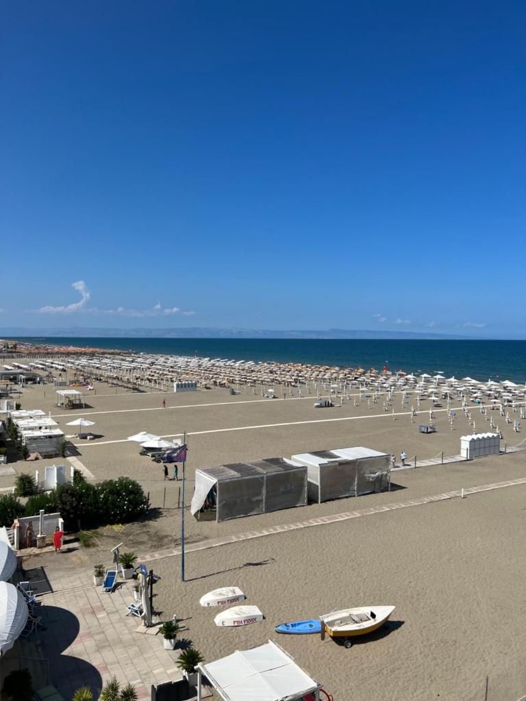 Al delfino blu photo 4