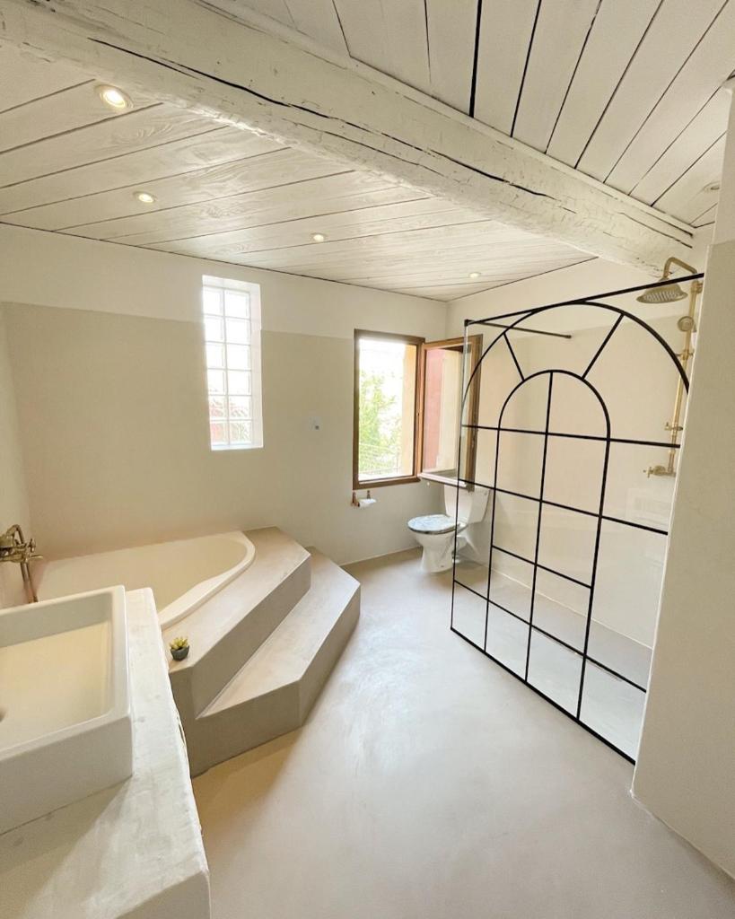 La Maison du Trident en Camargue Piscine et Jacuzzi photo 4