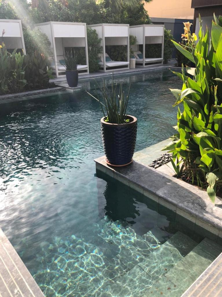 Dana Hotel & Residences 2 photo 3