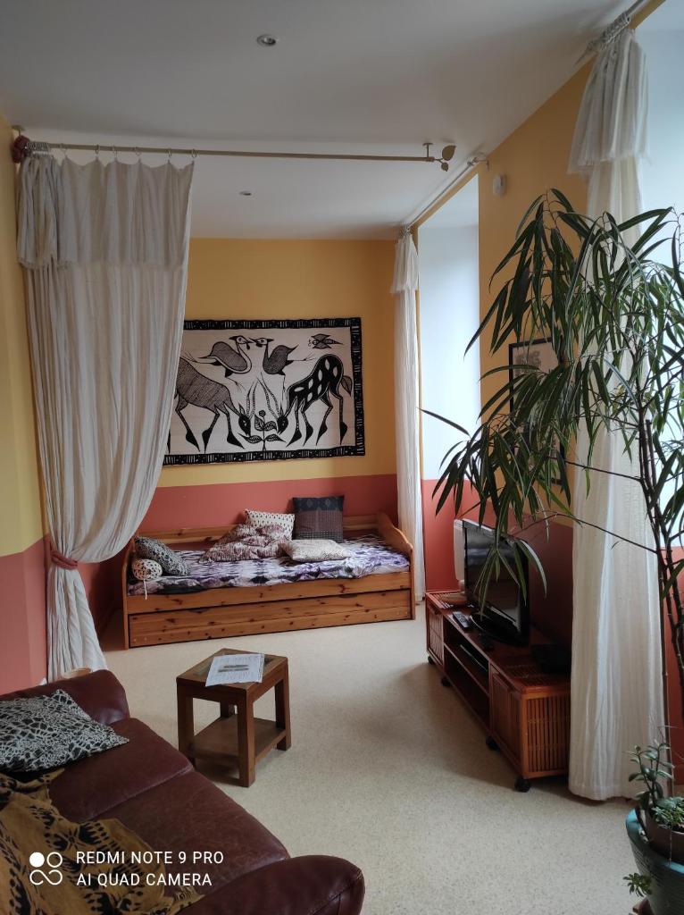 Afrique Appartement de 42m2 à la montagne photo 3