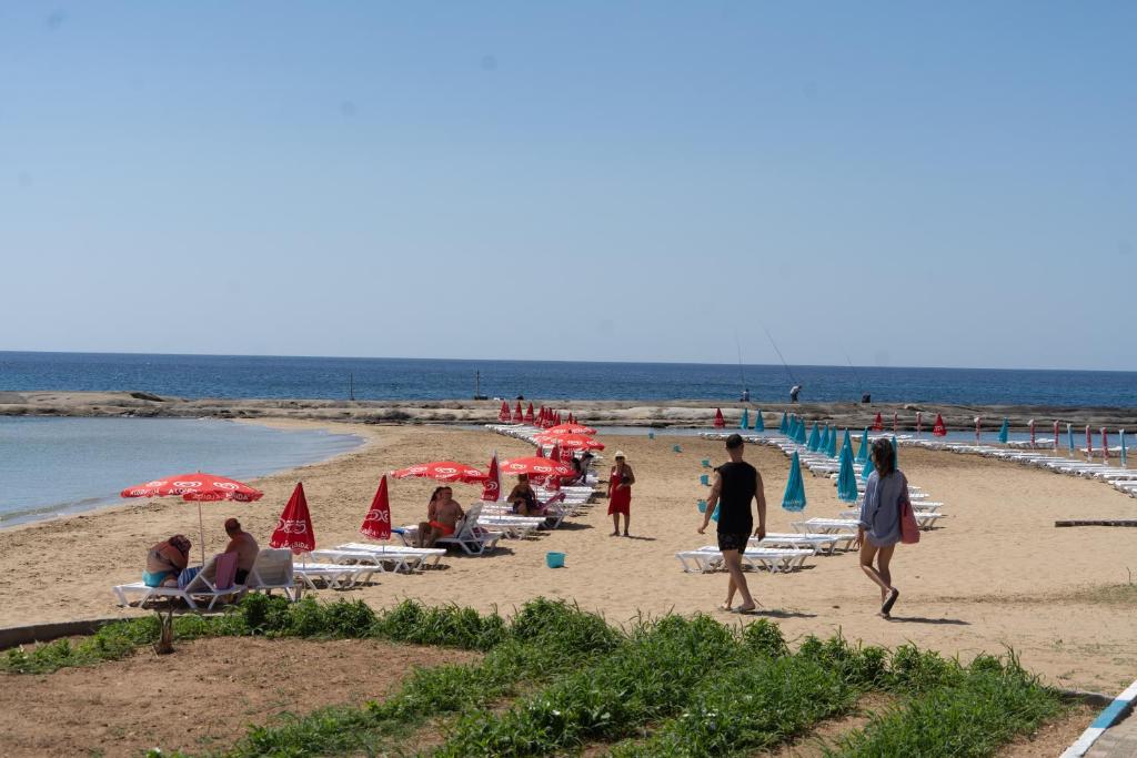 Livana Hotel photo 4