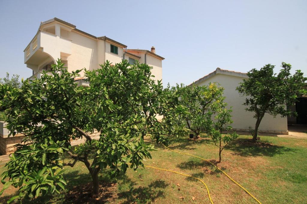 Apartments by the sea Nevidjane, Pasman - 8273 photo 2