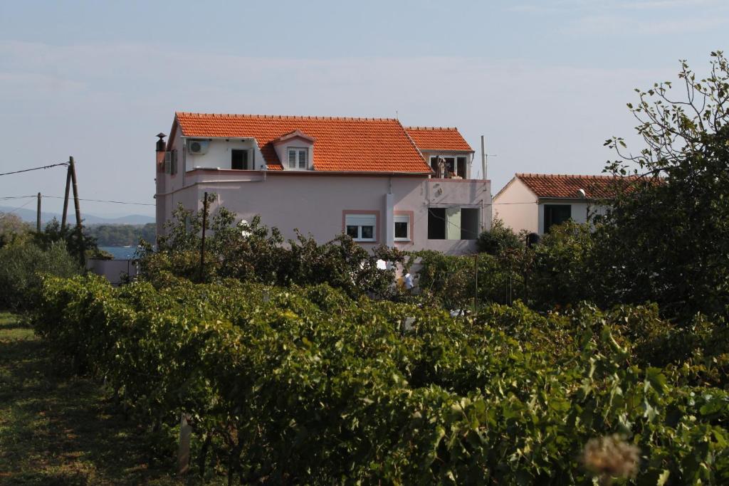 Apartments by the sea Tkon, Pasman - 341 photo 2