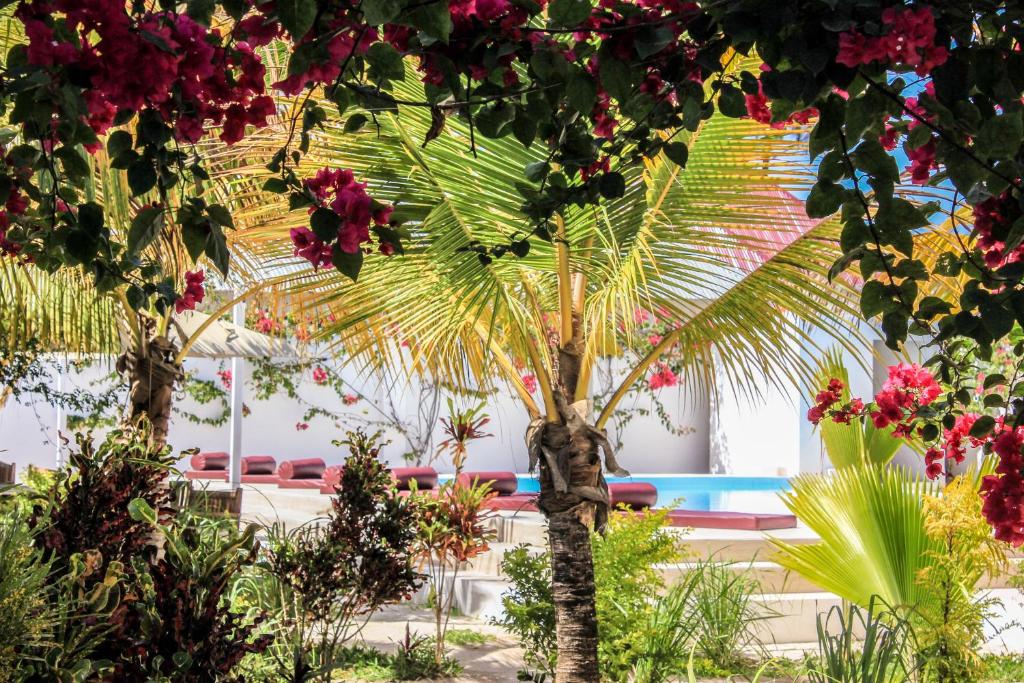 Paje White House Boutique Hotel photo 4