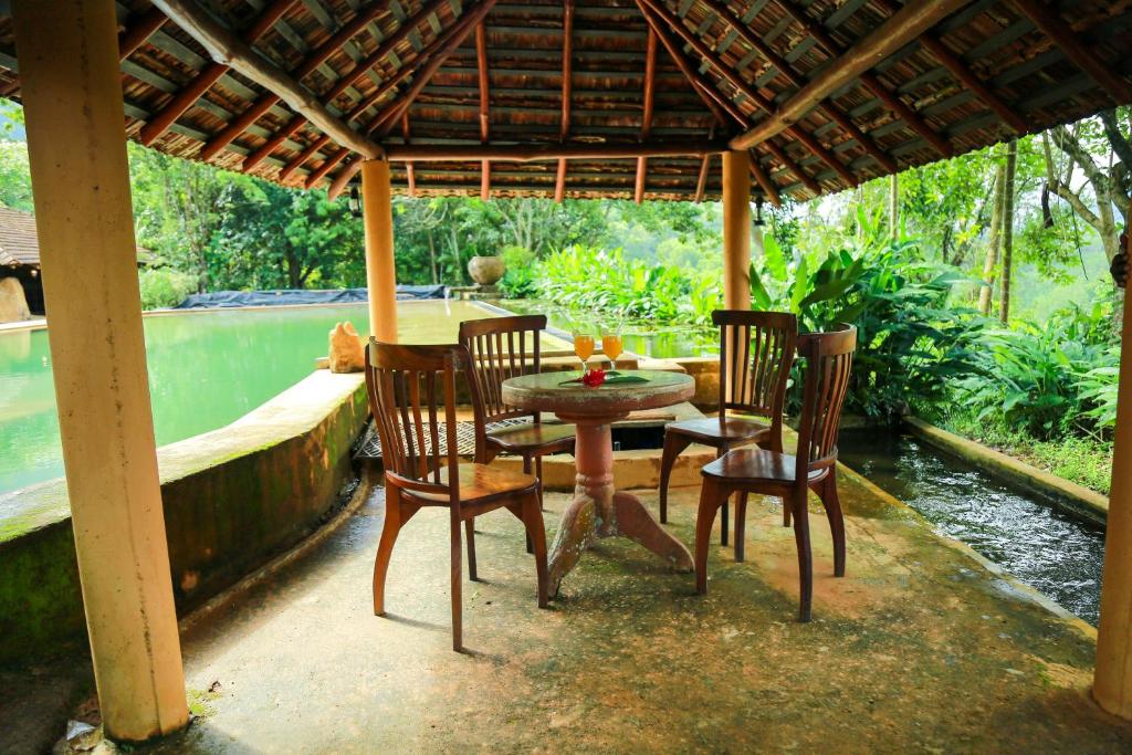 Rainforest Edge photo 3