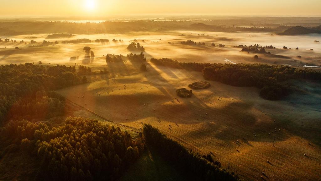 Highland Warmia - Gospodarstwo agroturystyczne photo 3