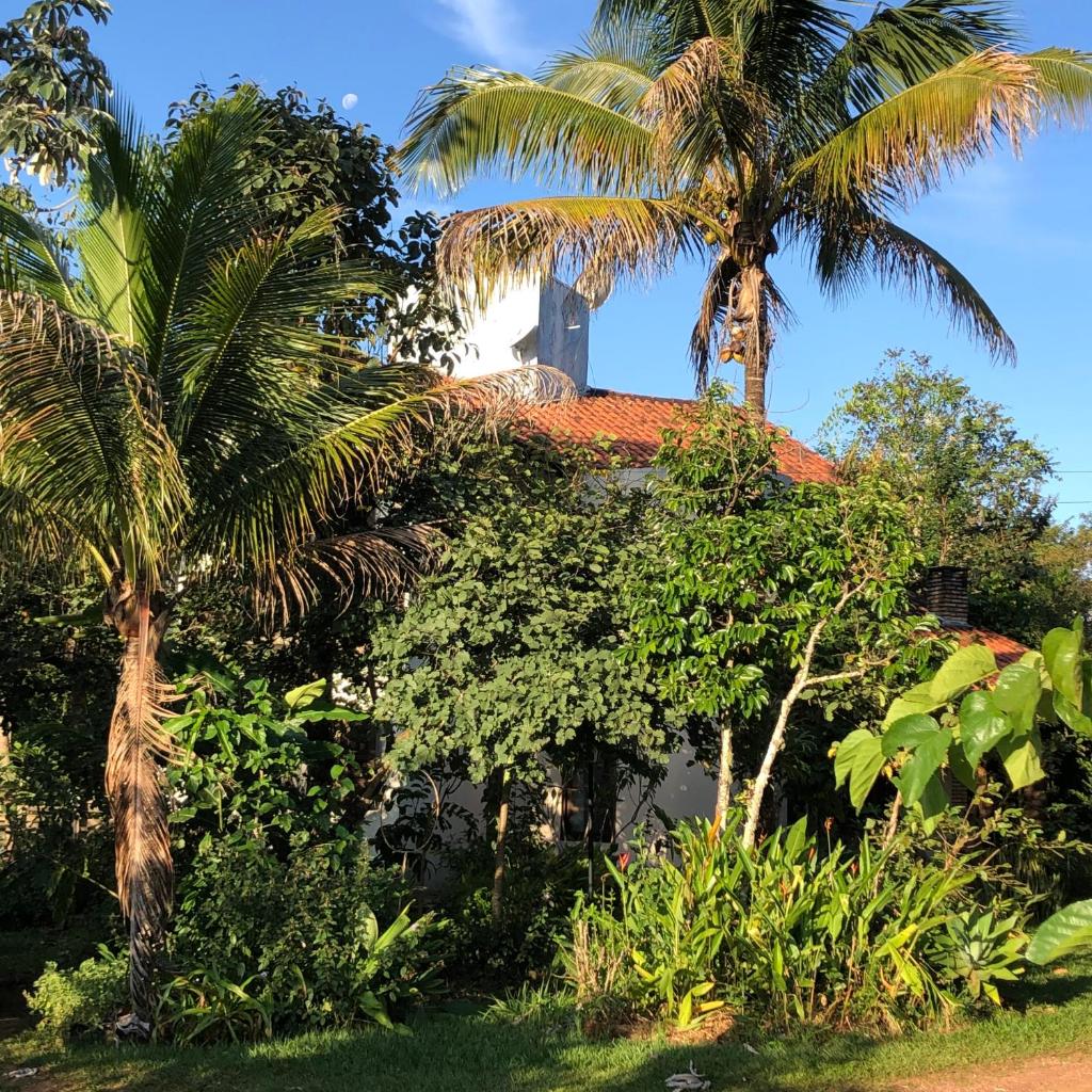 Pousada Casa Natuco photo 3