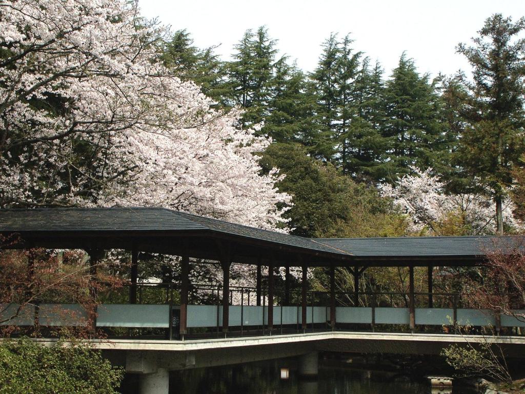 Matsusaki photo 4