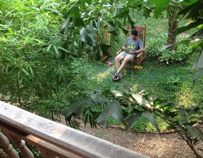 Sala Thongyon - Guest House photo 1