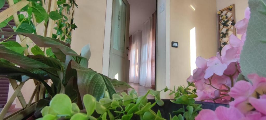 Il Tetto dei Sogni photo 1