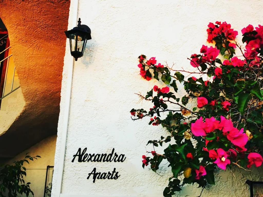 Alexandra Apartments photo 1