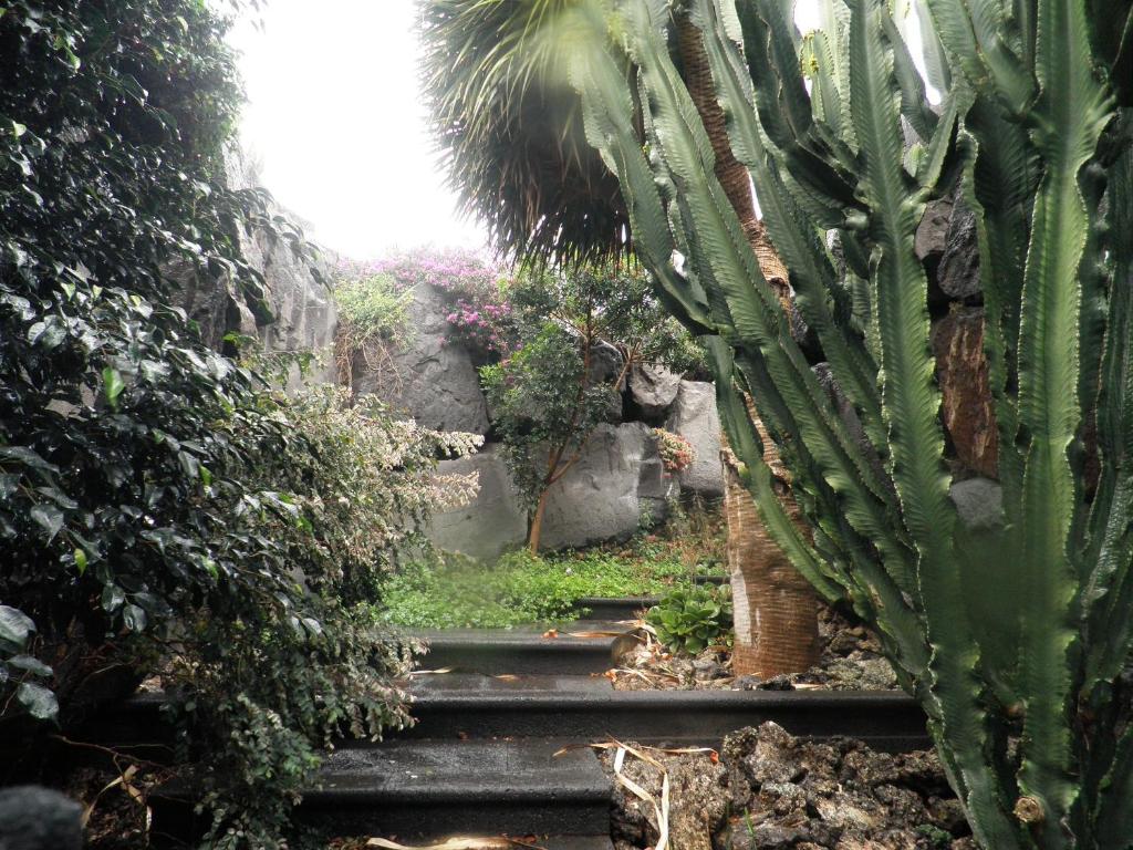 Villa Remedios photo 4