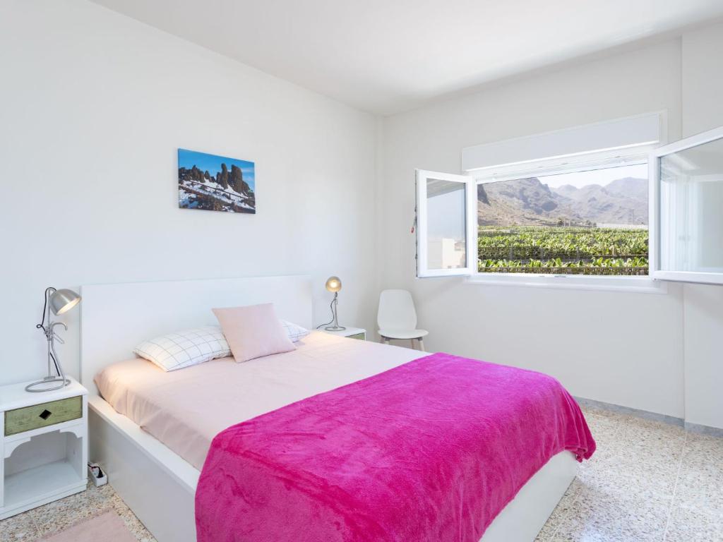 Apartment Océano by Interhome photo 4
