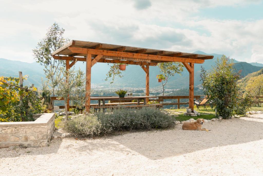 Agriturismo Riva dei Coz photo 1