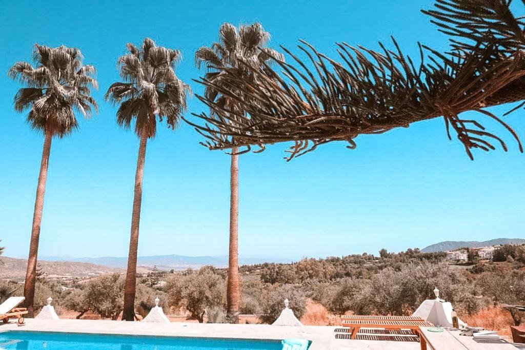 Finca Besito photo 4